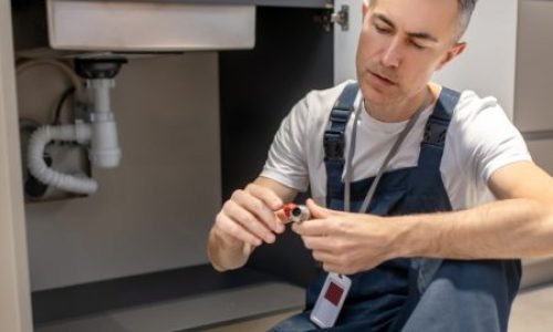 3-qye6ozafhmht1krpzakzfsutcosl3yn16niw7fv0z8